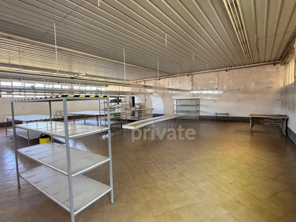 Armazém para Venda em Raimonda Foto 6