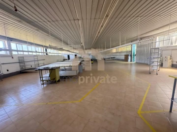 Armazém para Venda em Raimonda