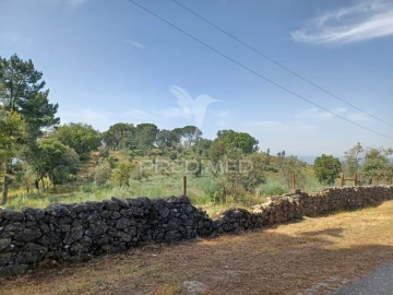 Terreno para Venda em Sé e São Lourenço