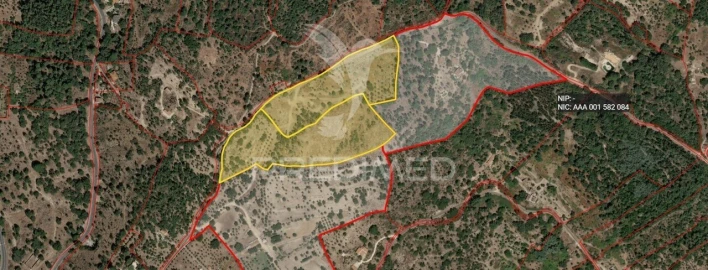 Terreno para Venda em Sé e São Lourenço