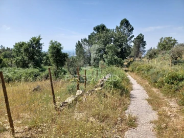 Terreno para Venda em Sé e São Lourenço