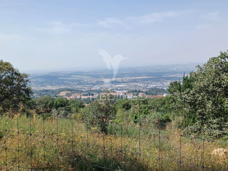Terreno para Venda em Sé e São Lourenço Foto 1