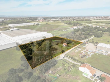 Terreno para Venda em Benavente