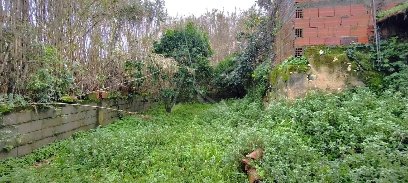 Moradia T3 para Venda em Nossa Senhora do Pópulo, Coto e São Gregório Foto 50