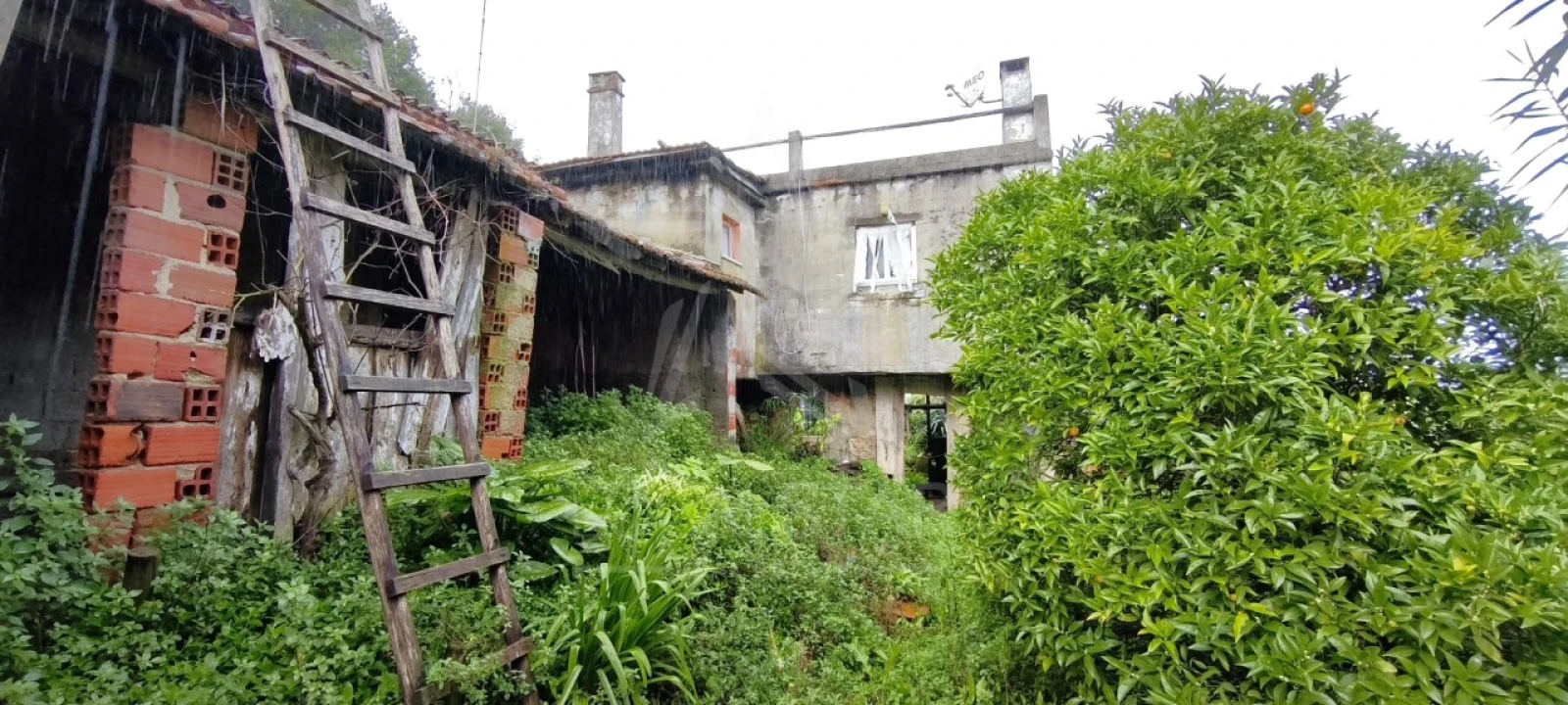 Moradia T3 para Venda em Nossa Senhora do Pópulo, Coto e São Gregório Foto 51