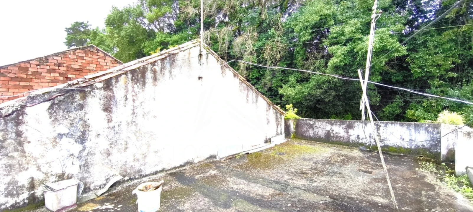 Moradia T3 para Venda em Nossa Senhora do Pópulo, Coto e São Gregório Foto 44