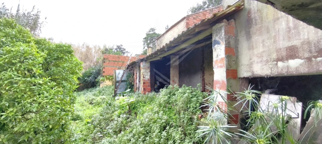 Moradia T3 para Venda em Nossa Senhora do Pópulo, Coto e São Gregório Foto 49