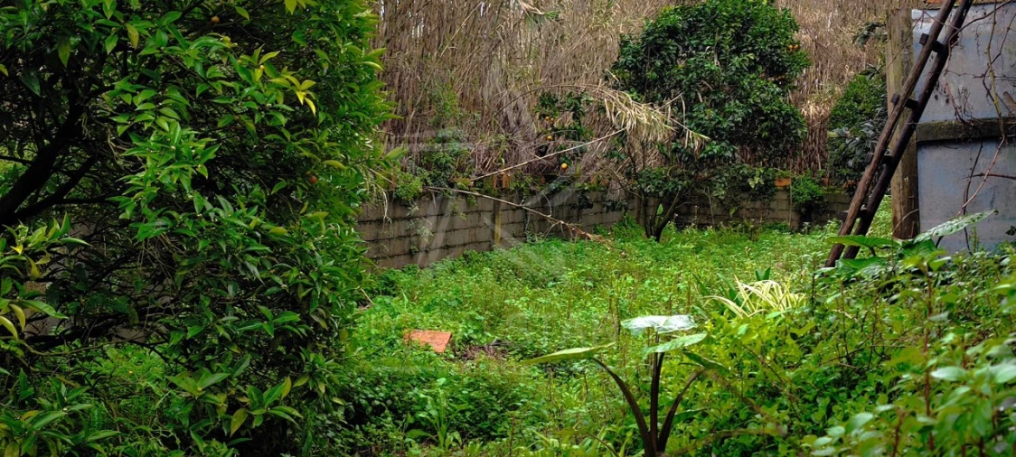 Moradia T3 para Venda em Nossa Senhora do Pópulo, Coto e São Gregório Foto 34