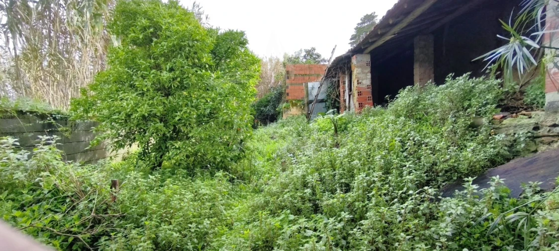 Moradia T3 para Venda em Nossa Senhora do Pópulo, Coto e São Gregório Foto 55