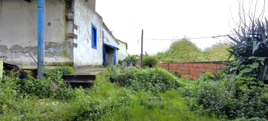 Moradia T3 para Venda em Nossa Senhora do Pópulo, Coto e São Gregório Foto 40