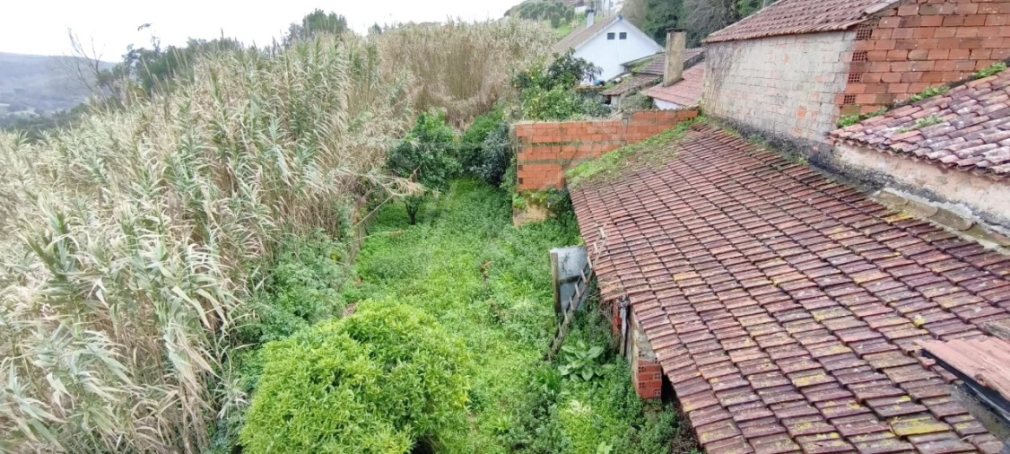 Moradia T3 para Venda em Nossa Senhora do Pópulo, Coto e São Gregório Foto 53