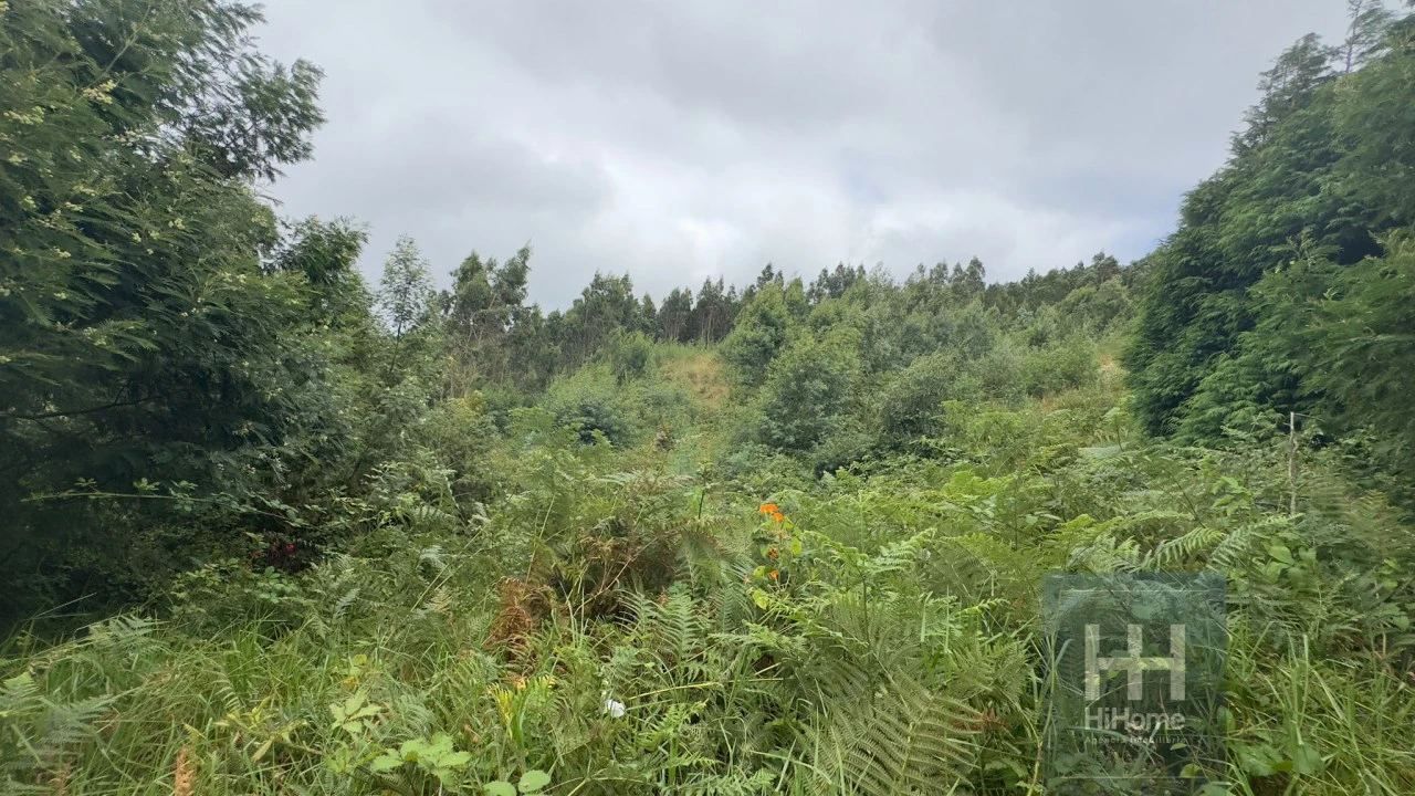 Terreno para Venda em Santo Antonio da Serra Foto 3