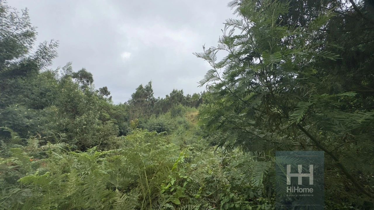Terreno para Venda em Santo Antonio da Serra Foto 4