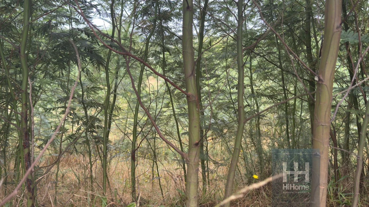 Terreno para Venda em Santo Antonio da Serra Foto 6