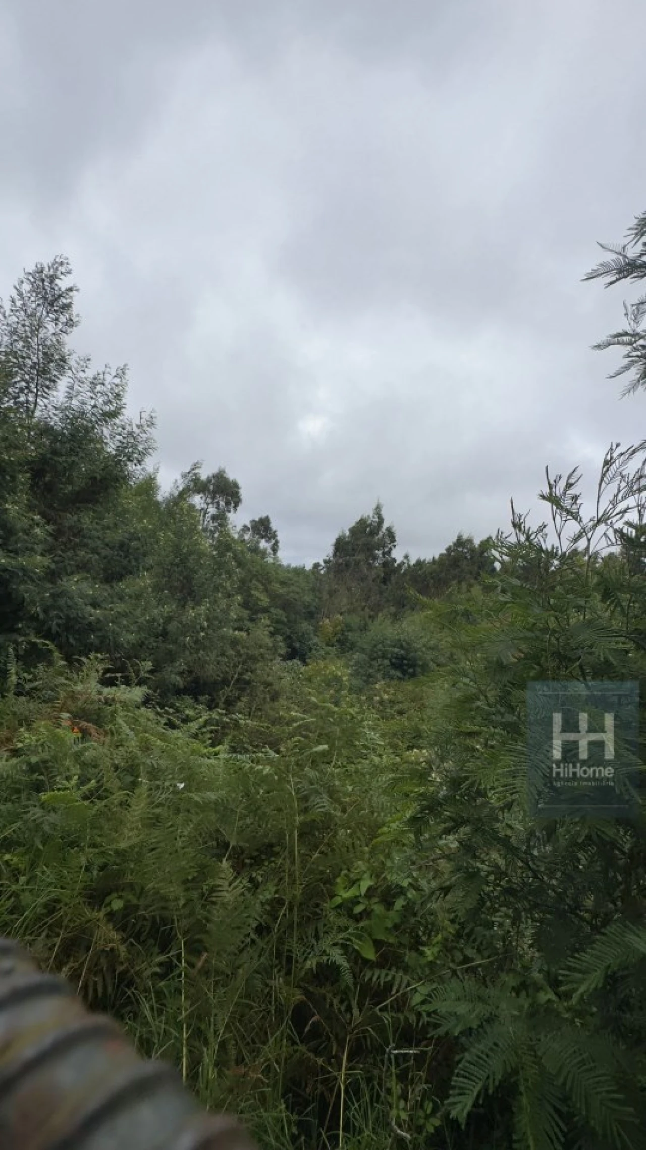 Terreno para Venda em Santo Antonio da Serra Foto 16