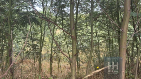 Terreno para Venda em Santo Antonio da Serra