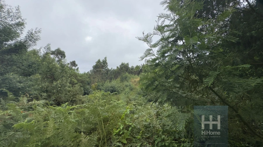 Terreno para Venda em Santo Antonio da Serra Foto 4