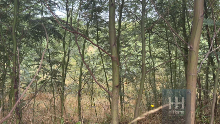 Terreno para Venda em Santo Antonio da Serra Foto 6