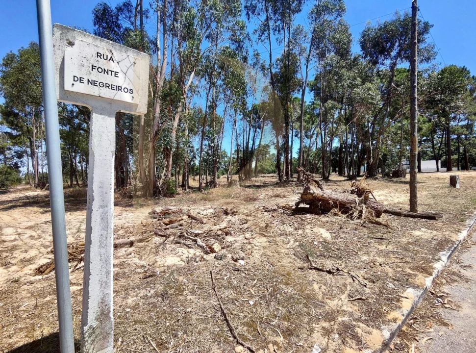 Terreno para Venda em Azeitão (São Lourenço e São Simão) Foto 3