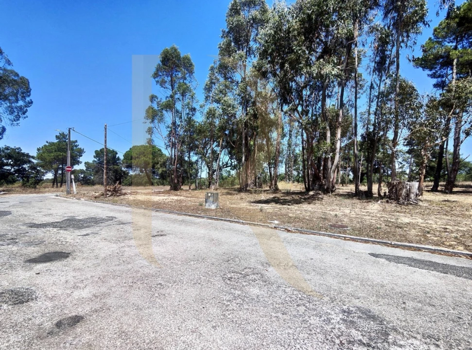 Terreno para Venda em Azeitão (São Lourenço e São Simão) Foto 4
