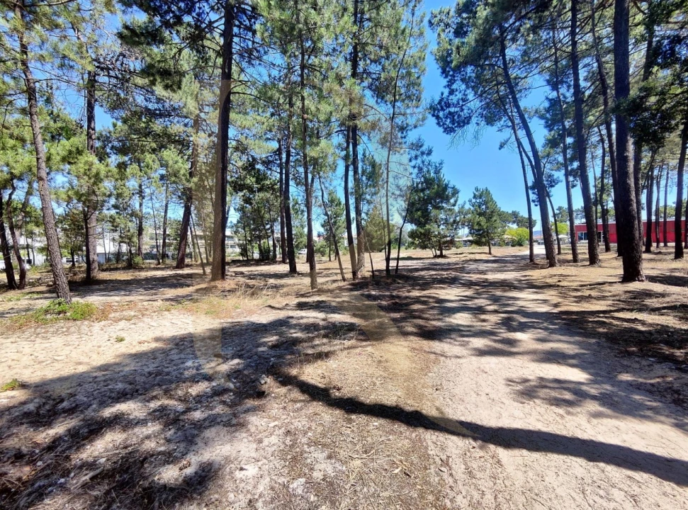 Terreno para Venda em Azeitão (São Lourenço e São Simão) Foto 5