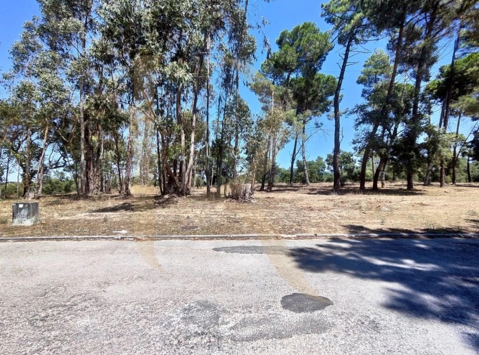 Terreno para Venda em Azeitão (São Lourenço e São Simão) Foto 6