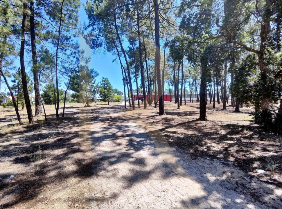 Terreno para Venda em Azeitão (São Lourenço e São Simão) Foto 7