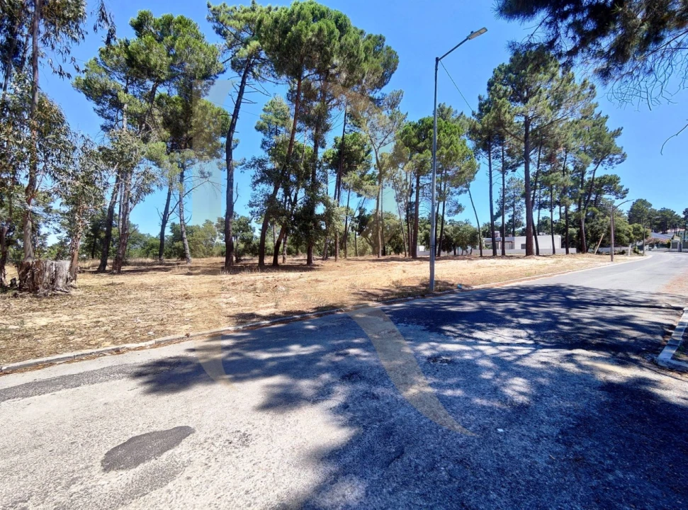Terreno para Venda em Azeitão (São Lourenço e São Simão) Foto 8