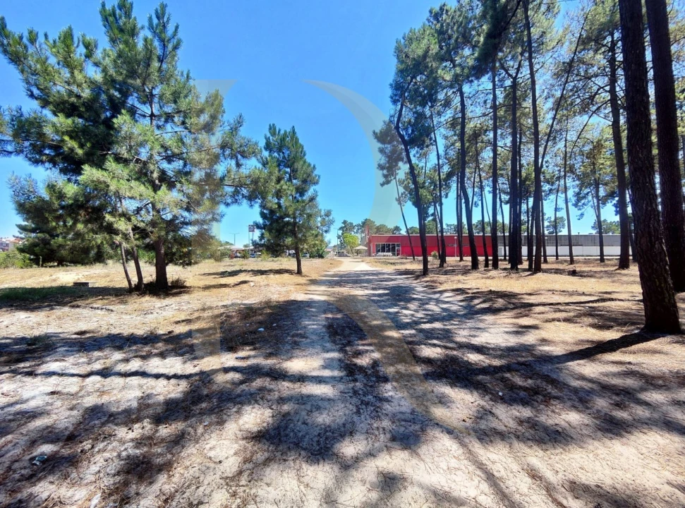 Terreno para Venda em Azeitão (São Lourenço e São Simão) Foto 9