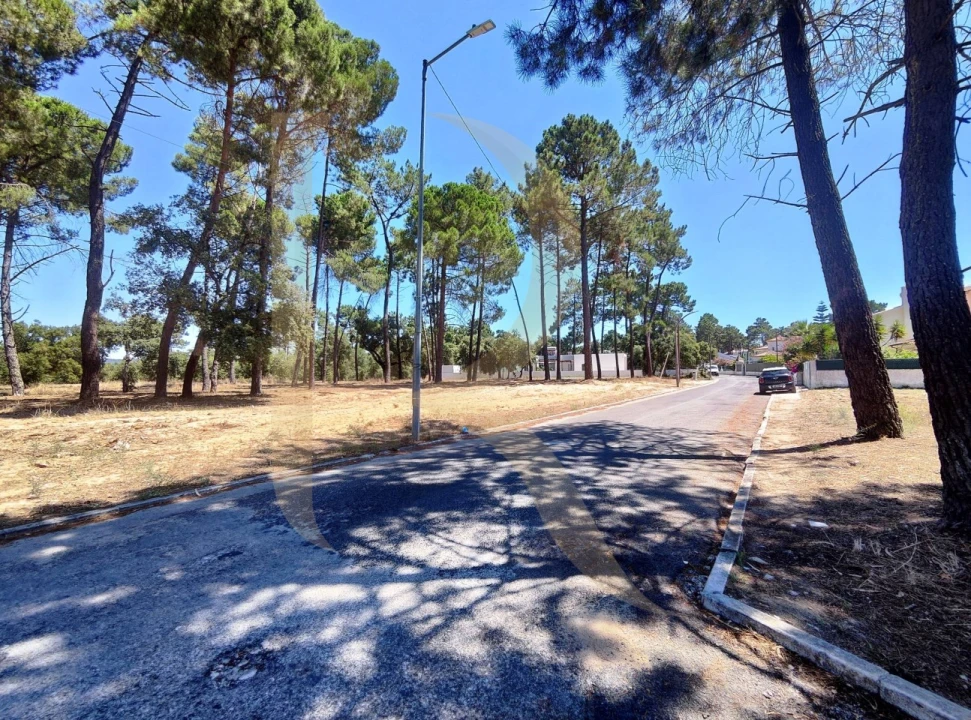 Terreno para Venda em Azeitão (São Lourenço e São Simão) Foto 10