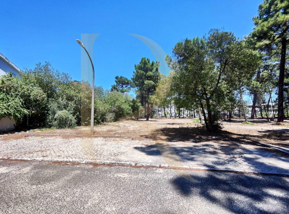 Terreno para Venda em Azeitão (São Lourenço e São Simão) Foto 11