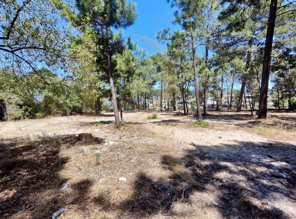 Terreno para Venda em Azeitão (São Lourenço e São Simão) Foto 12