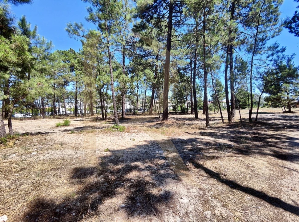 Terreno para Venda em Azeitão (São Lourenço e São Simão) Foto 13