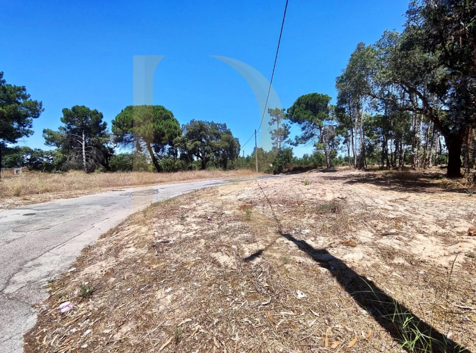 Terreno para Venda em Azeitão (São Lourenço e São Simão) Foto 14