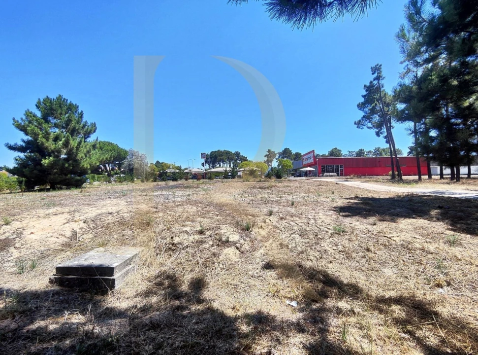 Terreno para Venda em Azeitão (São Lourenço e São Simão) Foto 15