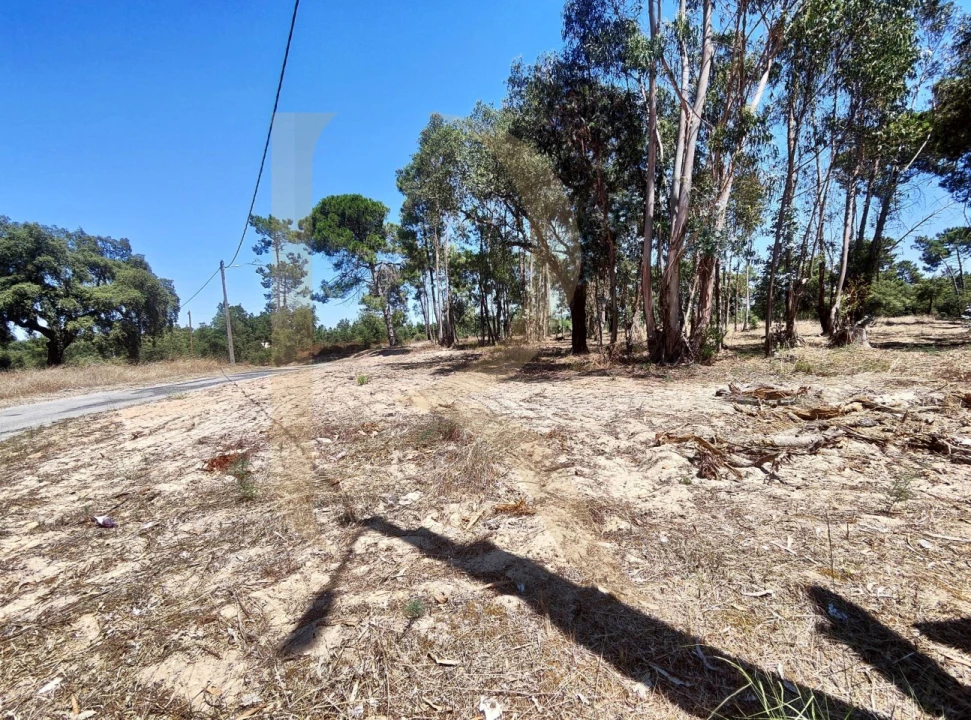 Terreno para Venda em Azeitão (São Lourenço e São Simão) Foto 16