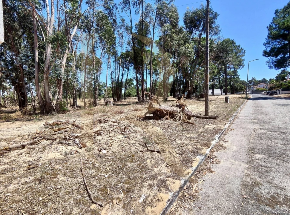 Terreno para Venda em Azeitão (São Lourenço e São Simão) Foto 18