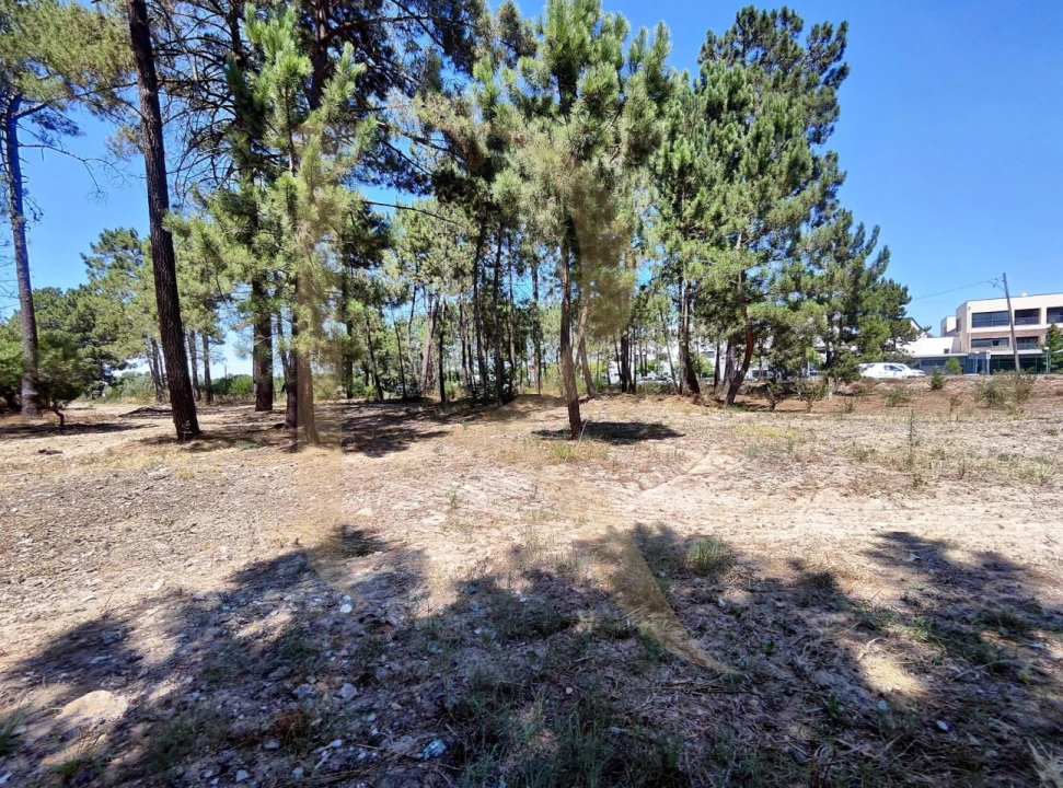 Terreno para Venda em Azeitão (São Lourenço e São Simão) Foto 19