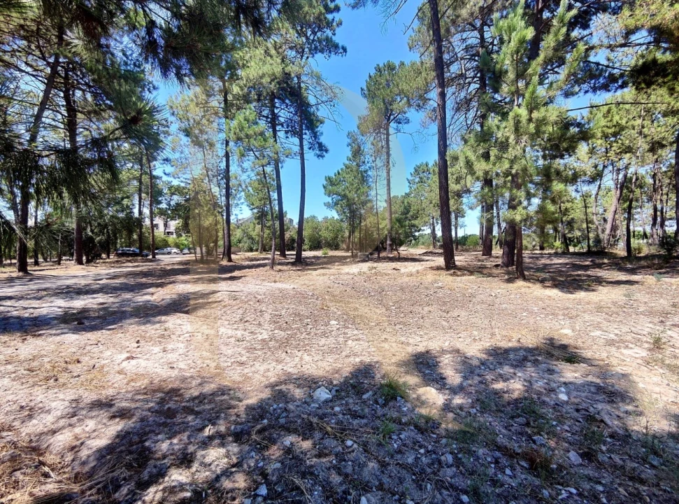 Terreno para Venda em Azeitão (São Lourenço e São Simão) Foto 20