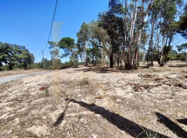 Terreno para Venda em Azeitão (São Lourenço e São Simão)