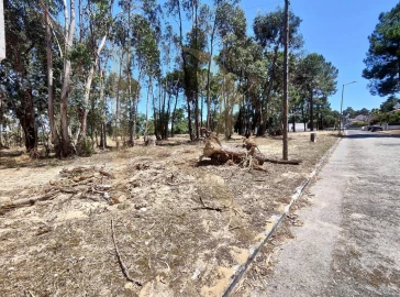 Terreno para Venda em Azeitão (São Lourenço e São Simão)
