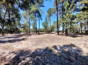 Terreno para Venda em Azeitão (São Lourenço e São Simão)
