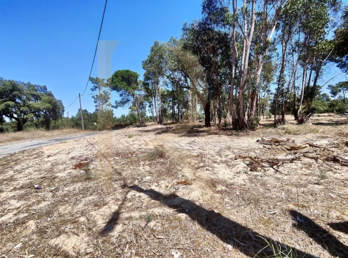 Terreno para Venda em Azeitão (São Lourenço e São Simão) Foto 16