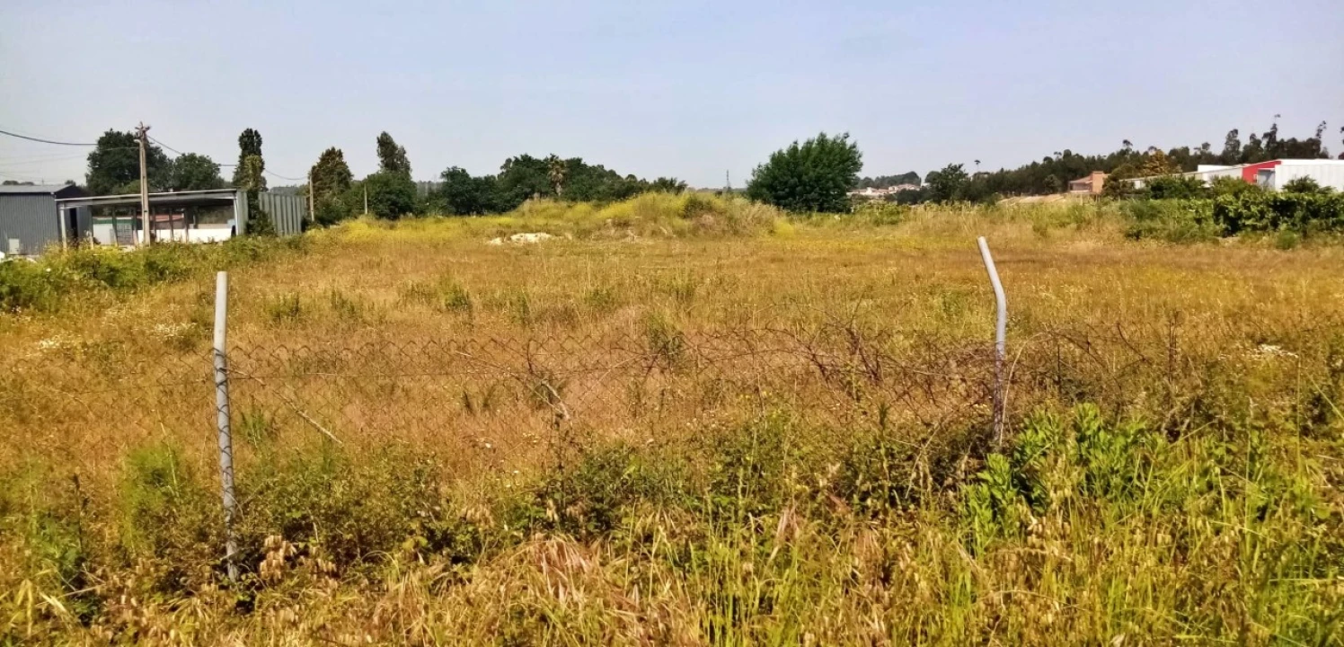 Terreno para Venda em Nogueira e Silva Escura Foto 1