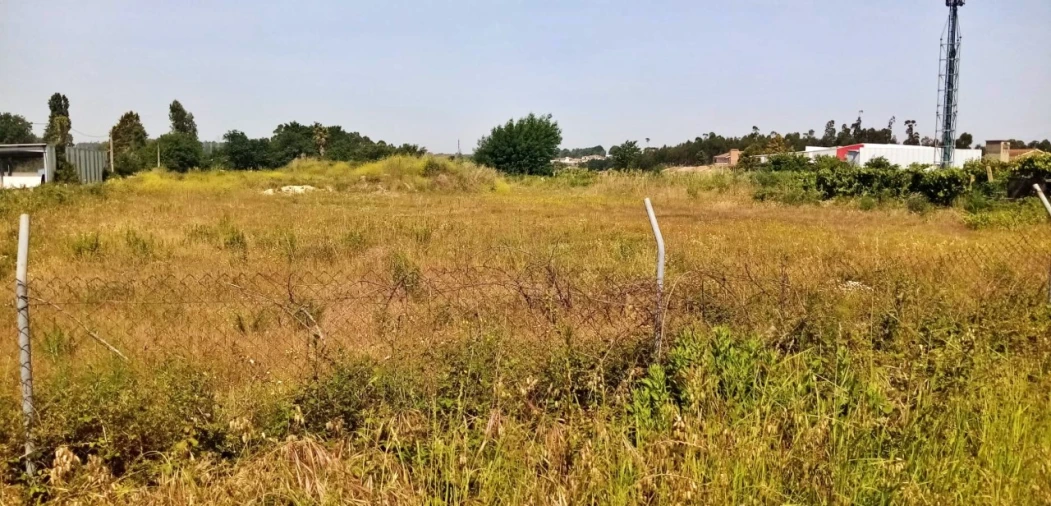 Terreno para Venda em Nogueira e Silva Escura Foto 2