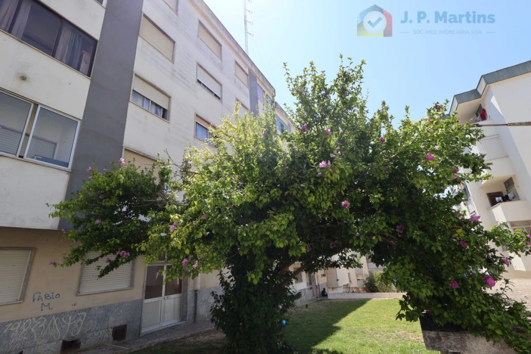 Apartamento T3 para Venda em Seixal, Arrentela e Aldeia de Paio Pires Foto 6