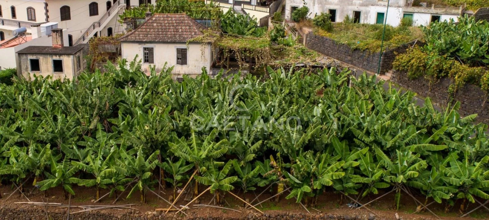 Moradia T2 para Venda em Arco da Calheta Foto 3