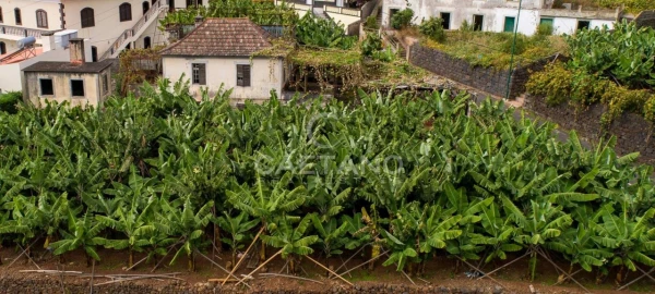 Moradia T2 para Venda em Arco da Calheta