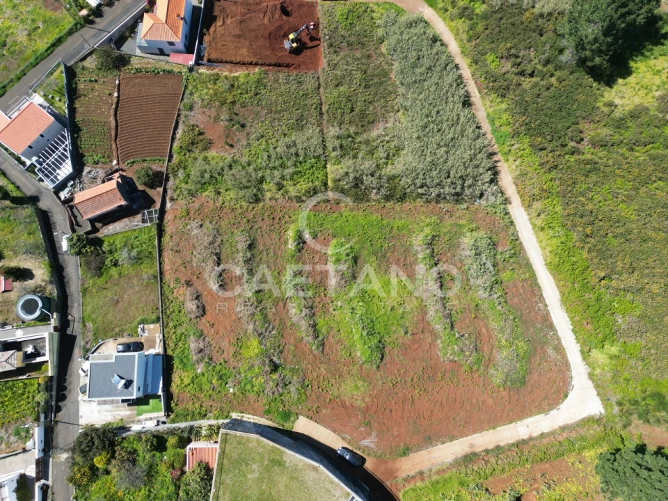 Terreno para Venda em Prazeres Foto 4