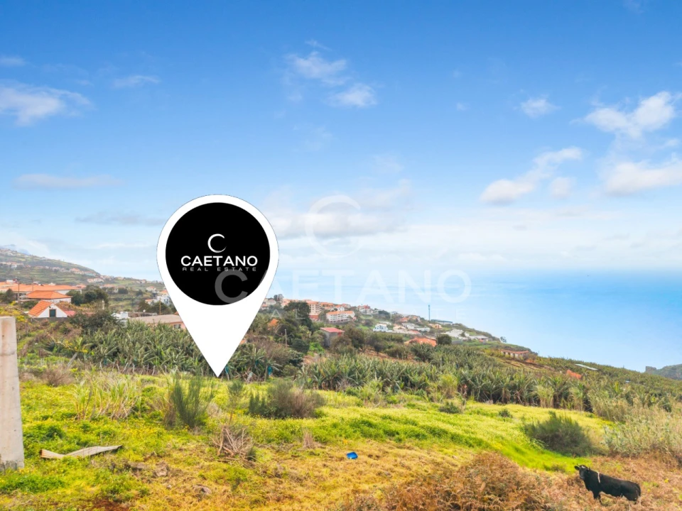 Terreno para Venda em Estreito da Calheta Foto 10